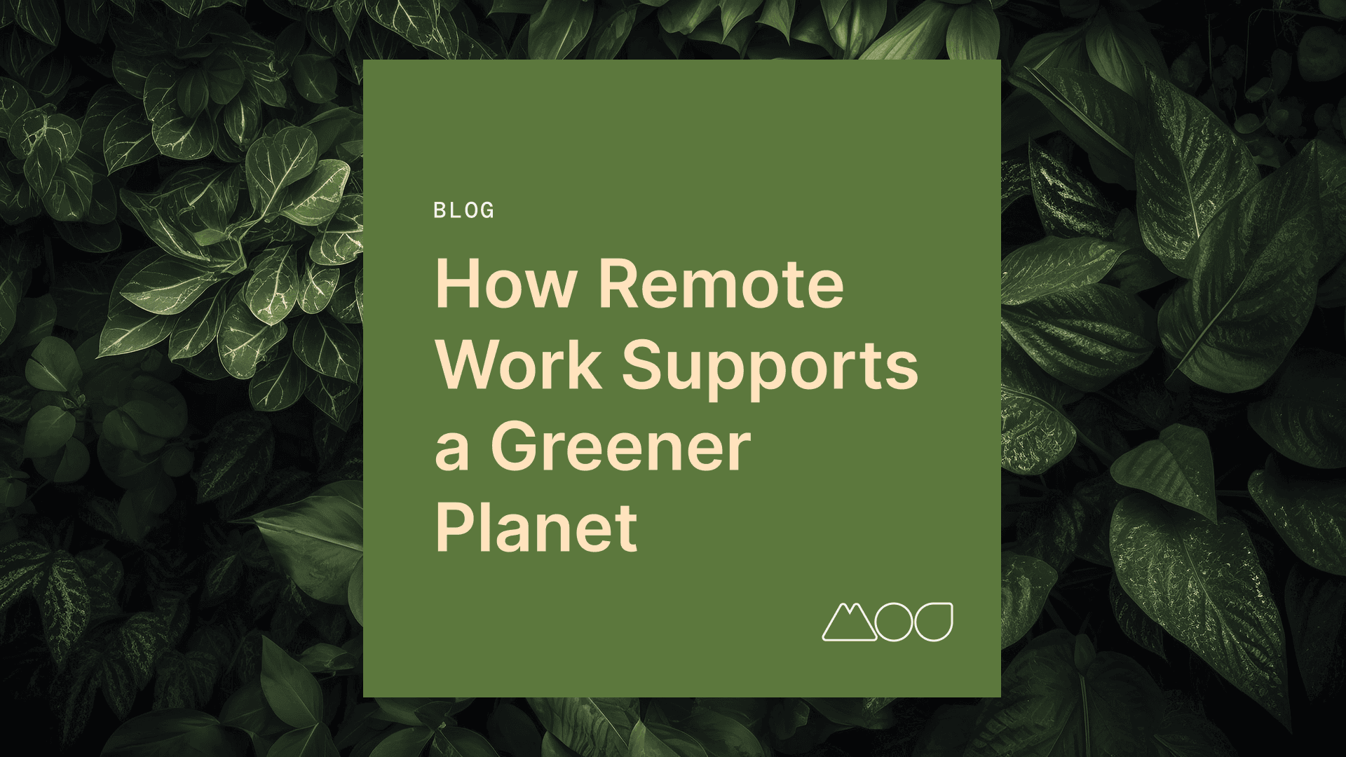 world environment day go green